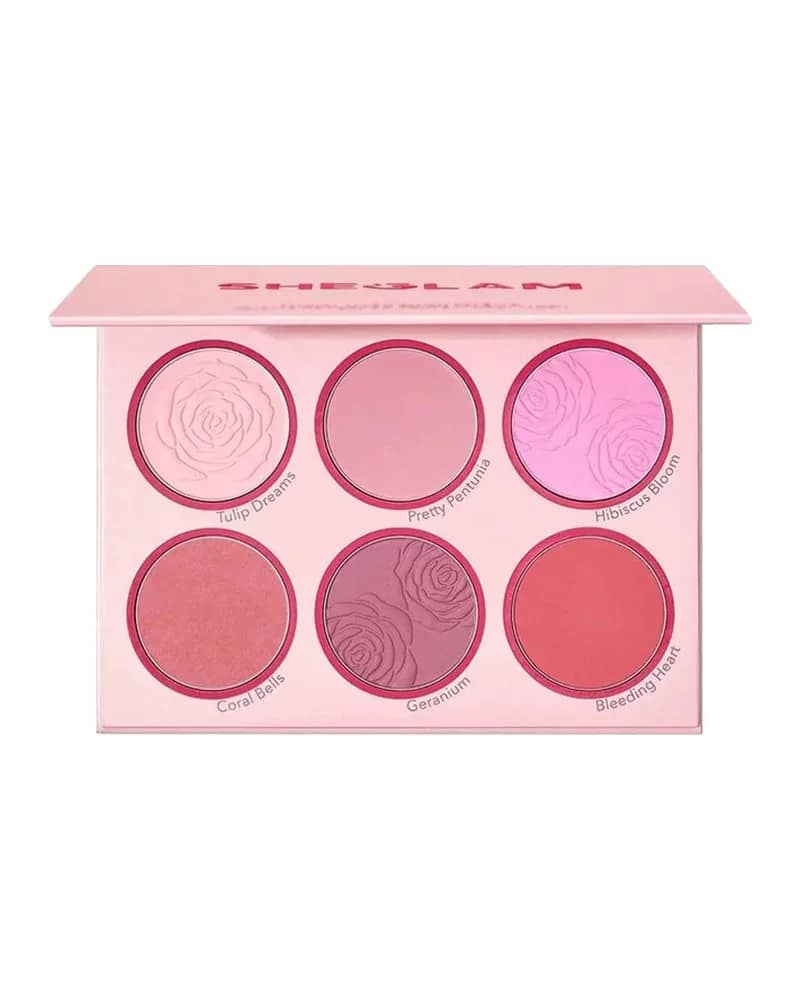 پالت رژگونه پودری 6 رنگ شیگلم مدل Blushing Bouquet