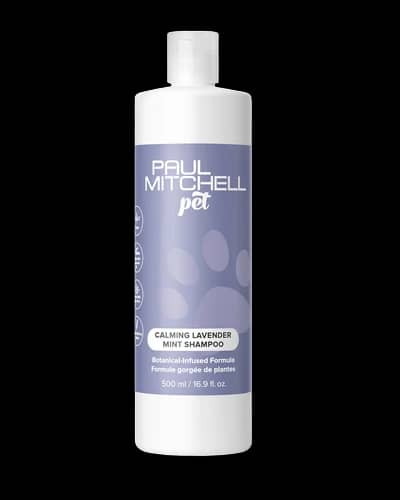 Pet Calming Lavender Mint Shampoo