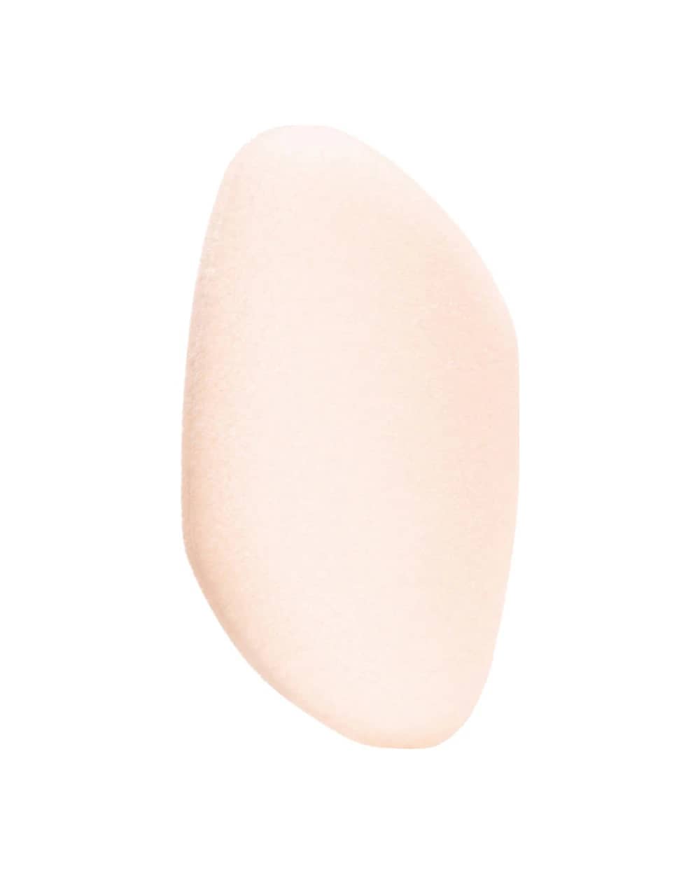 Flocked Sponge