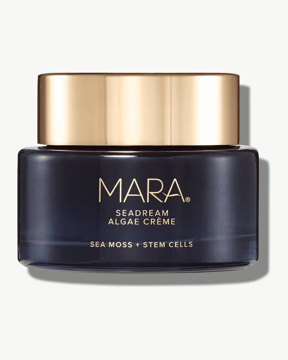 SeaDream Algae Creme Moisturizer for Firming & Tightening with Sea Moss + Peptides