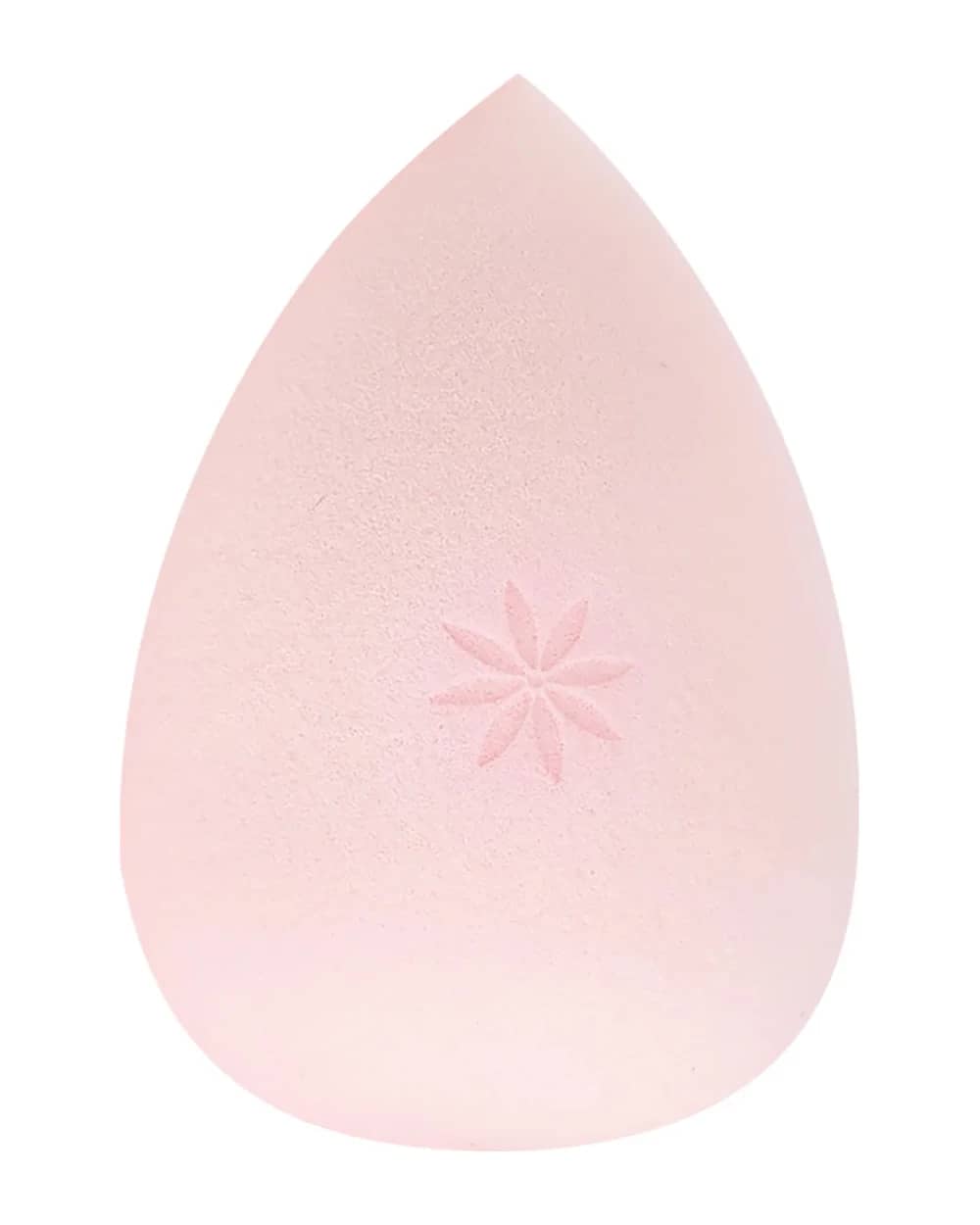 brushworks Complexion Sponge