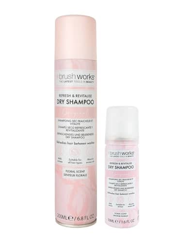 brushworks Dry Shampoo Bundle