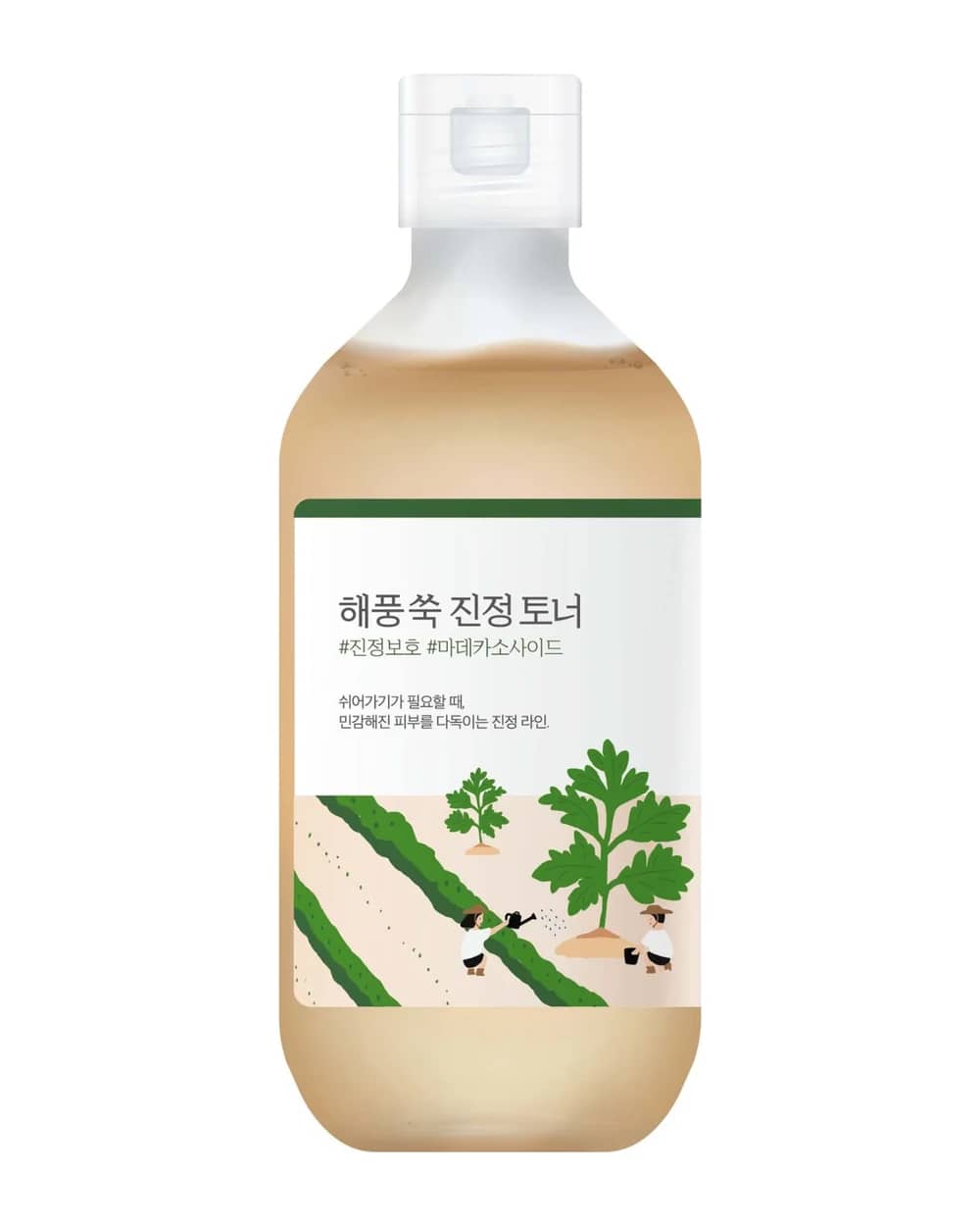 Round Lab Mugwort Toner 300ml