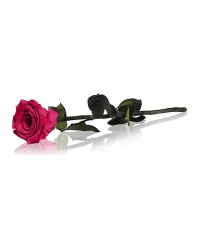 RoseAmor Fuchsia rosa stabilizzata con gambo 30 cm