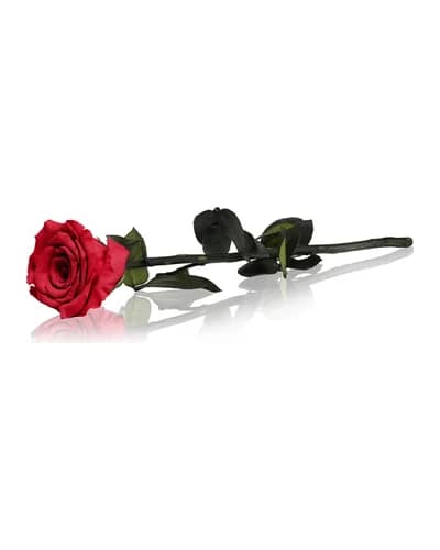 RoseAmor Red rosa stabilizzata con gambo 30 cm