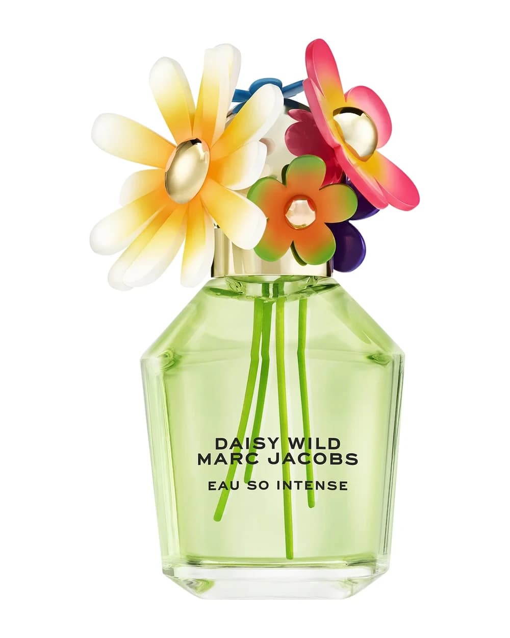 Marc Jacobs Daisy Wild Intense Eau de Parfum Spray 100ml